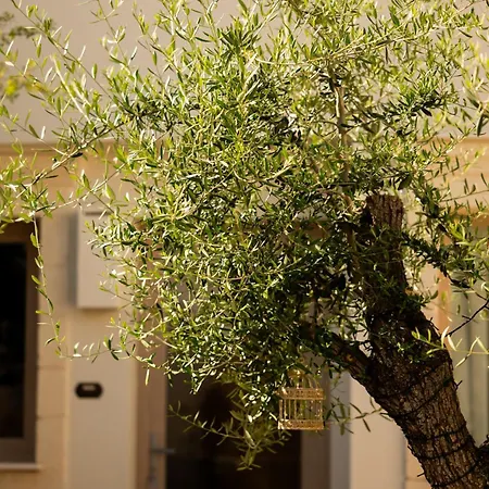 Bed and breakfast Corte Barra Experience 3*