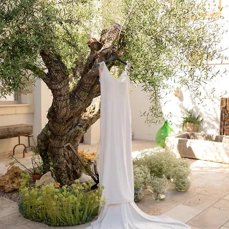 Corte Barra Experience Andria